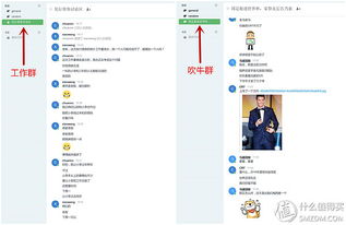 原創(chuàng)新人省小錢辦大事 群暉DS216 II網(wǎng)絡存儲NAS服務器搭建數(shù)據(jù)中心靠譜嗎？